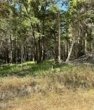 Hernando Land with Owner Financing