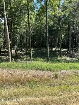 Land Near Hernando Square