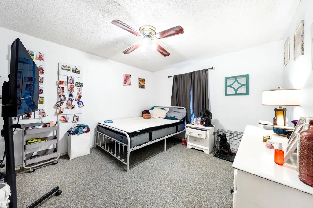 Picture 15
