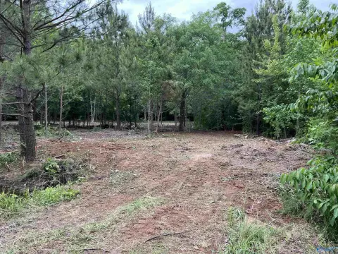 Residential Land in Toney, AL