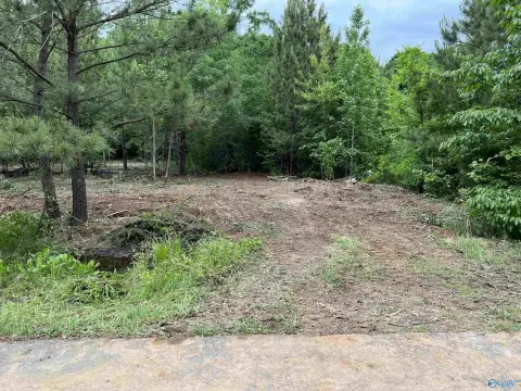 Residential Land in Toney, AL
