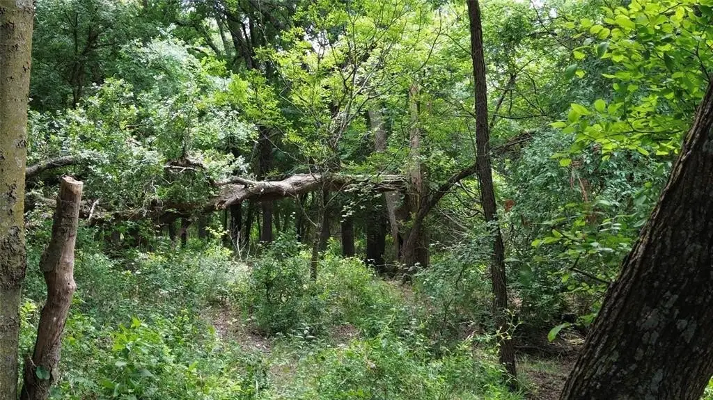 Picture 14