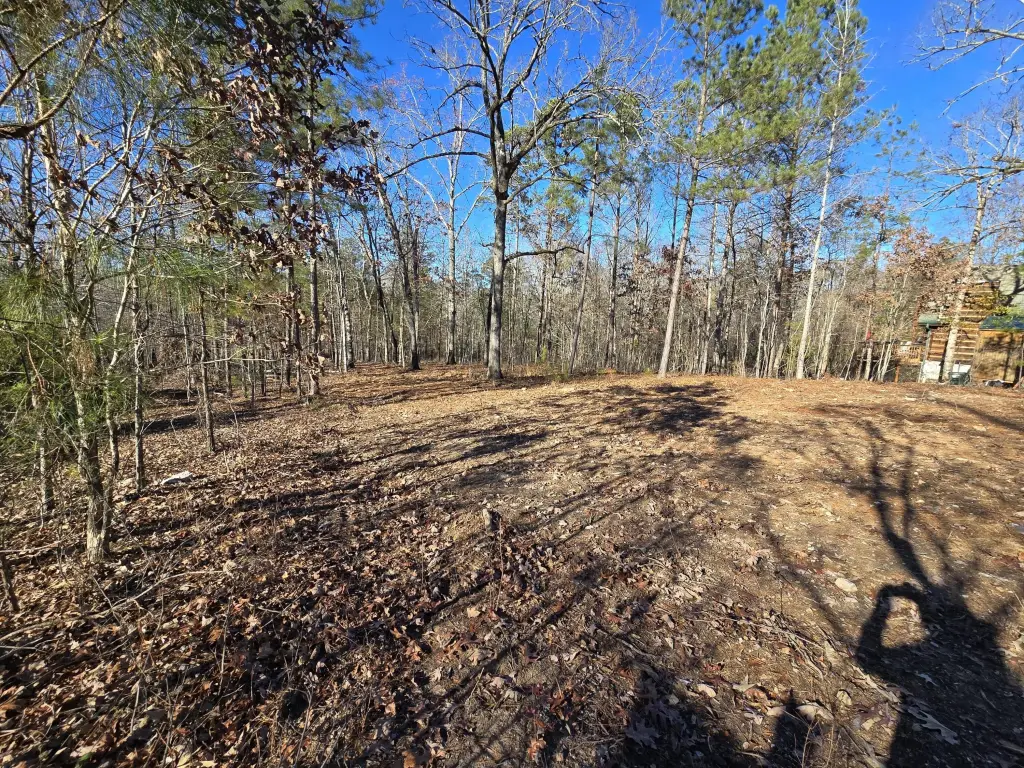 Picture 14