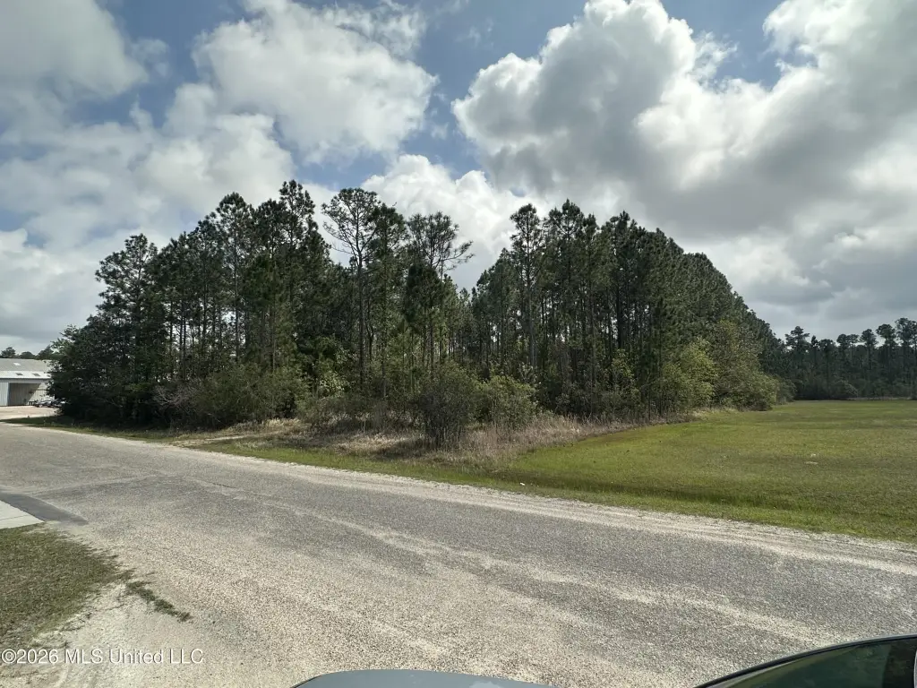 Picture 3