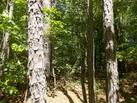 Land with Lake Access