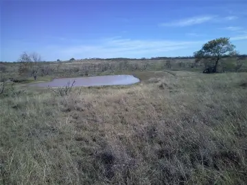 25 Acres of Texas Land