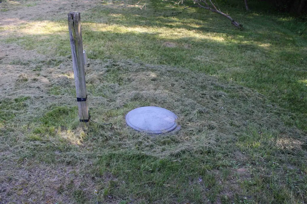 Picture 11