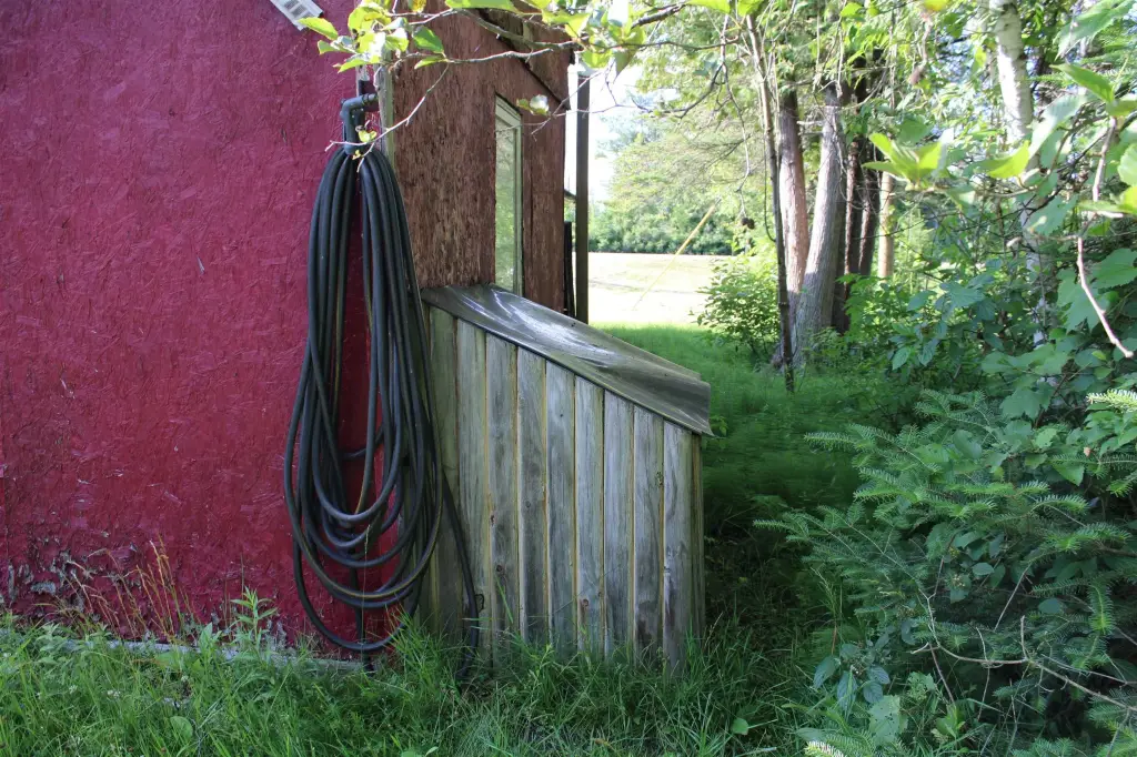 Picture 9