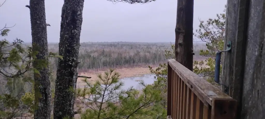 Picture 2