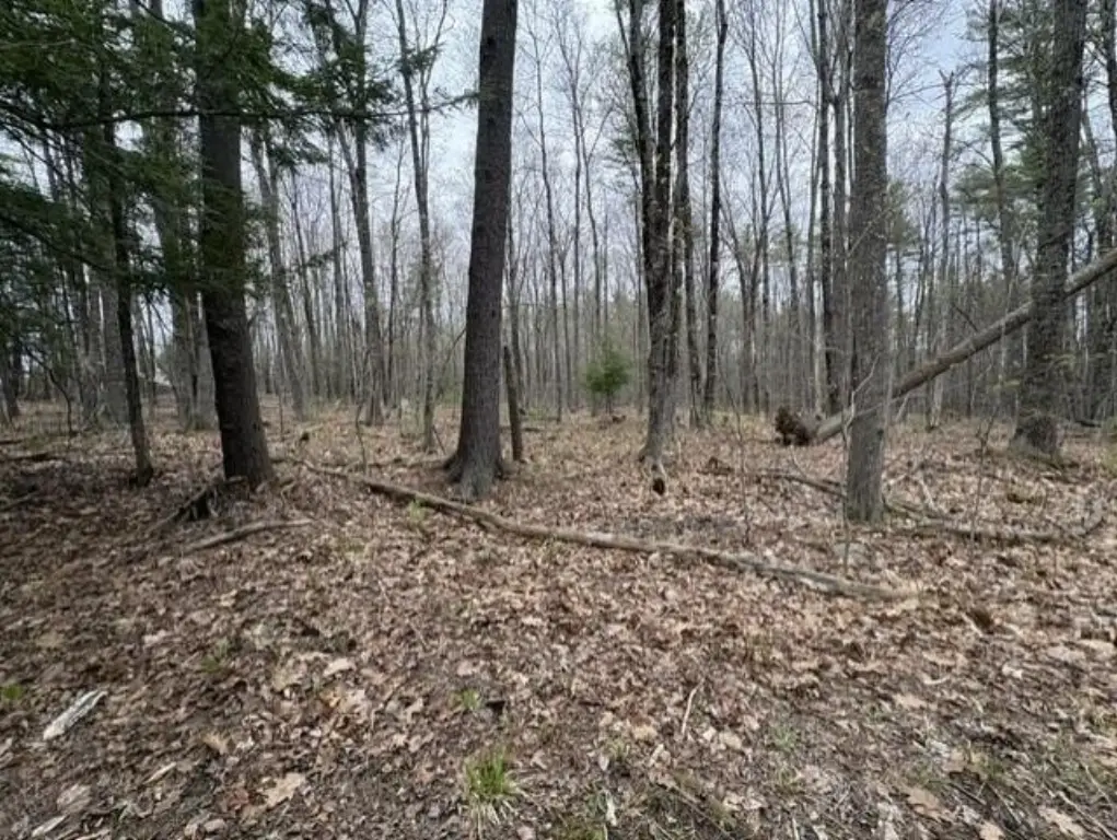 Picture 7