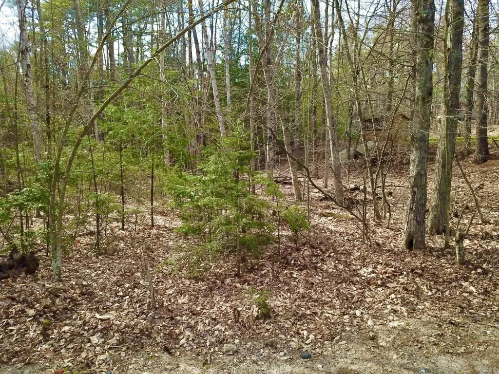 Picture 2