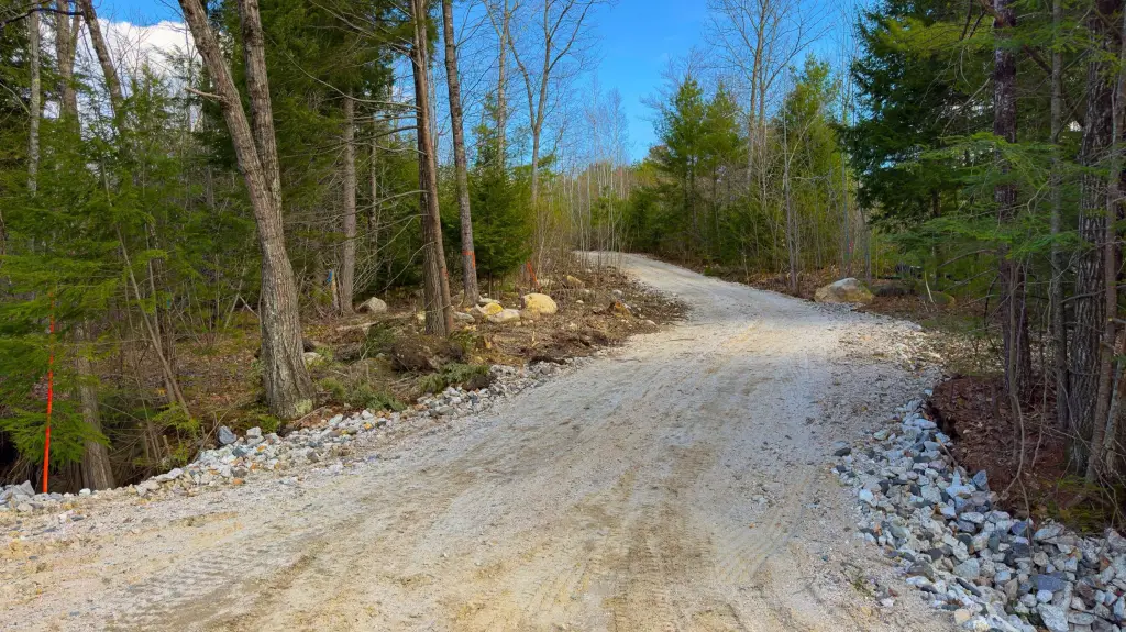 Picture 11