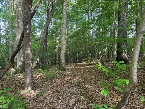 Seagrove Land: 10+ Acres
