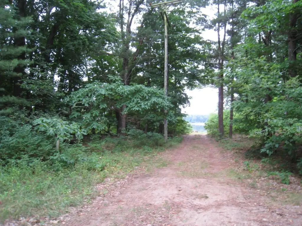 Picture 4