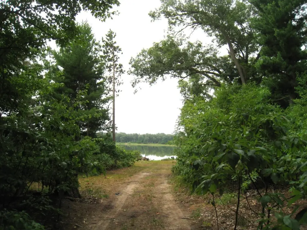 Picture 7
