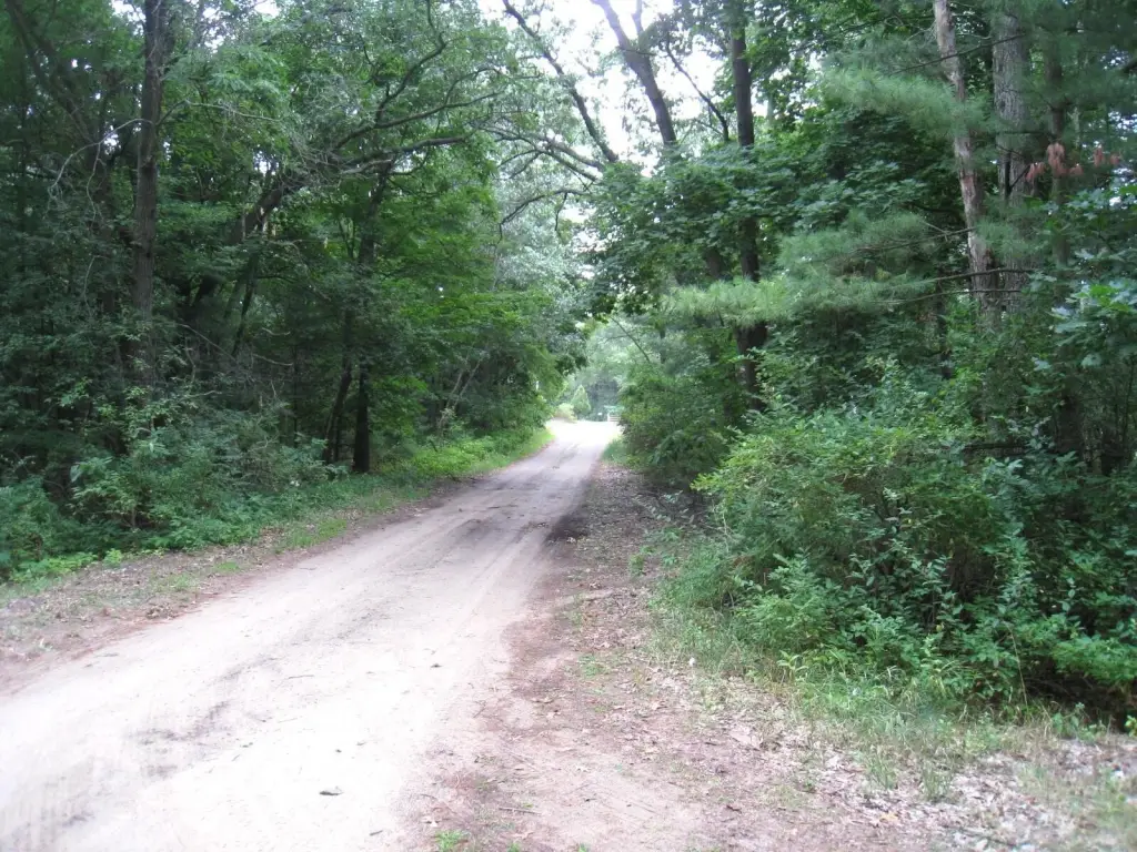 Picture 5