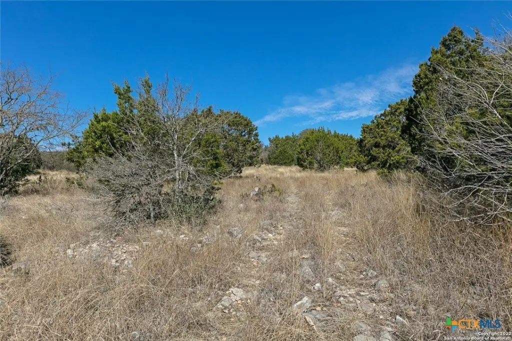 Picture 23