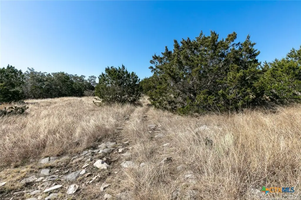 Picture 21