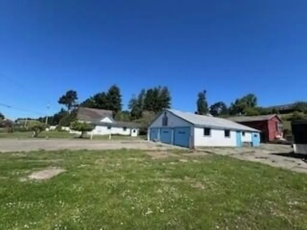 Picture 3