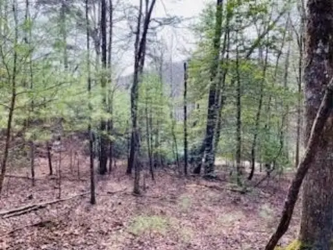 Blairsville Acreage Near USFS Land