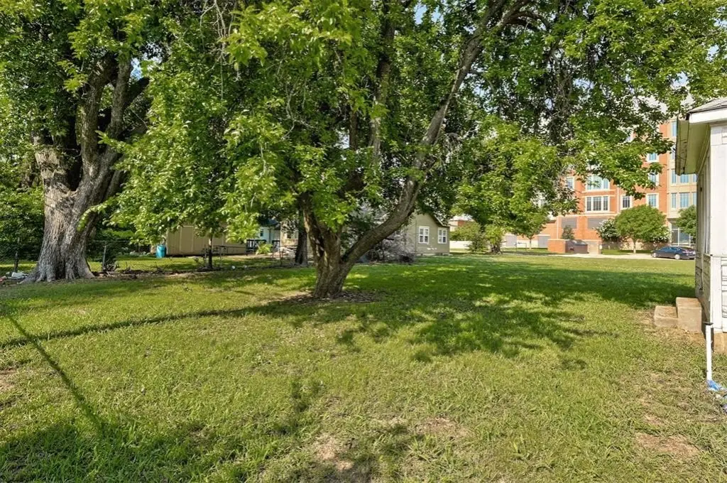 Picture 8