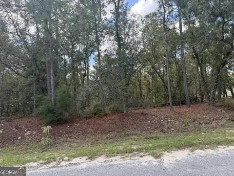 Picture of Land at Ridge Loop 51, Blackshear, GA