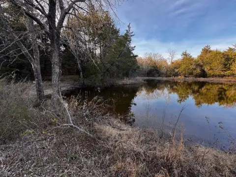 Texas Land with Large Pond
