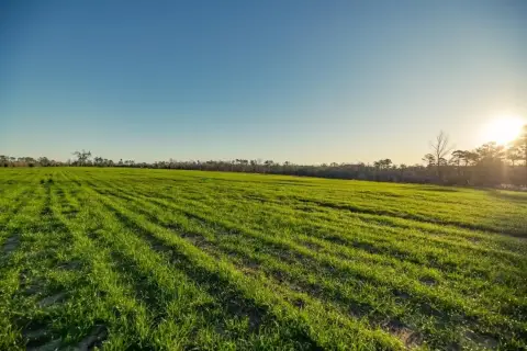 157 Acres Farm and Ranch