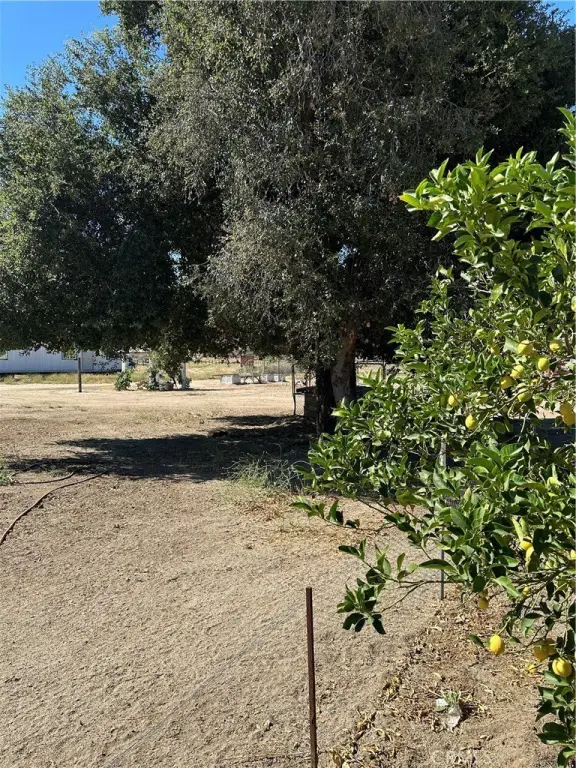 Picture 21