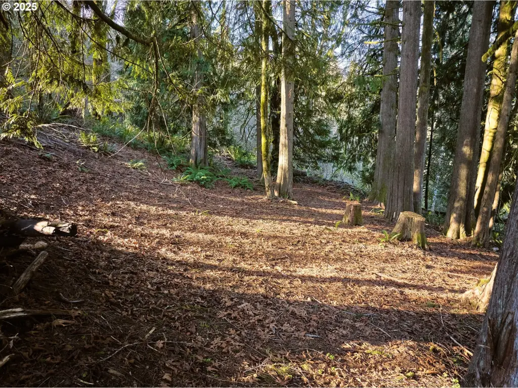 Picture 19