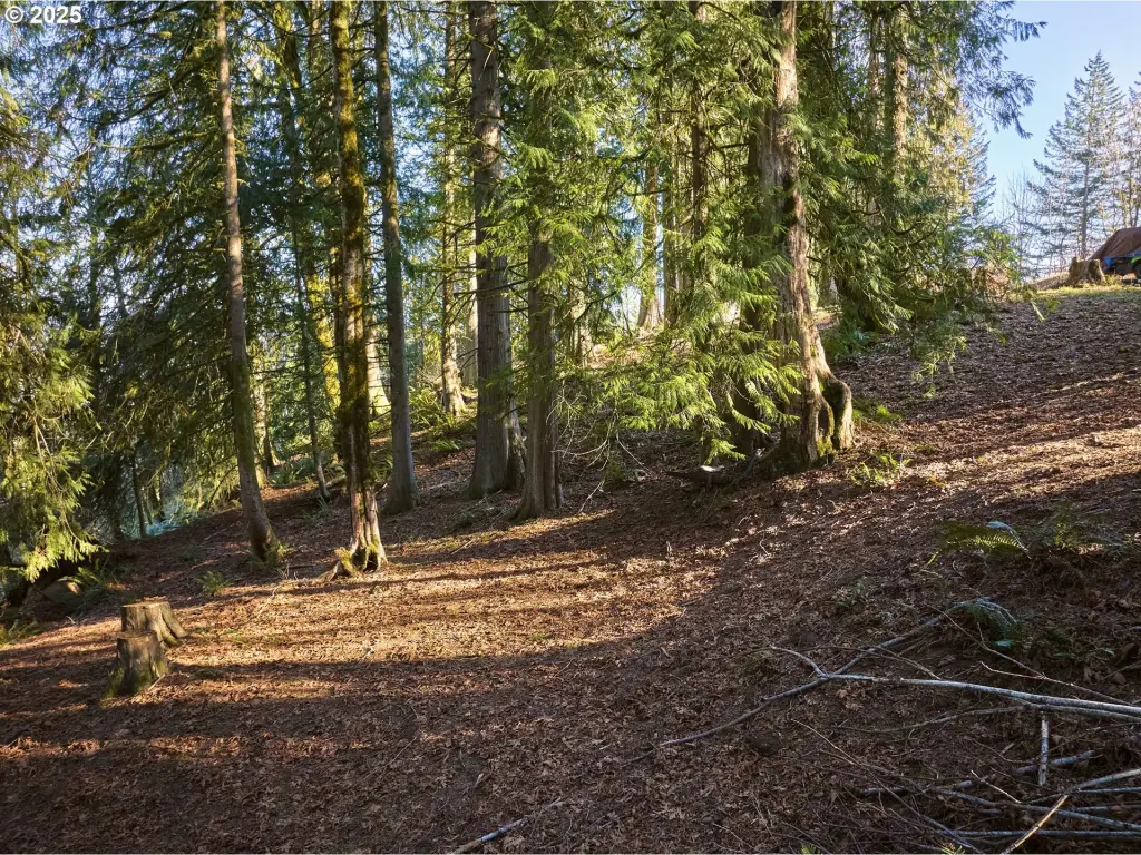 Picture 20