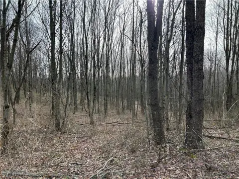 Wooded Land Near Carrollton, OH