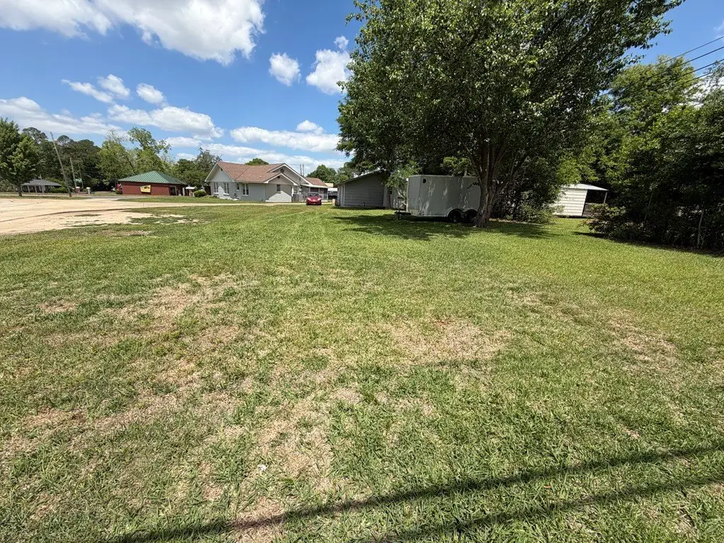 Picture 29