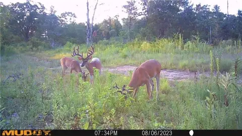 Arkansas River Wildlife Habitat