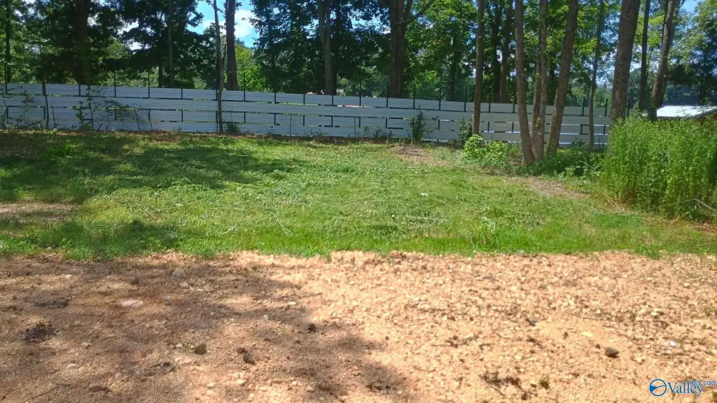 Picture 3