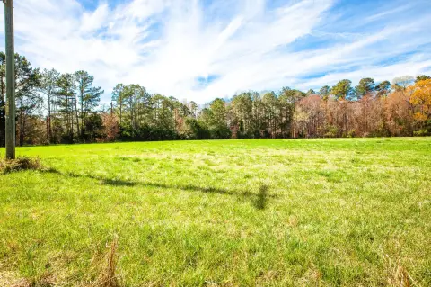 Estate Lot with Pasture and Pine