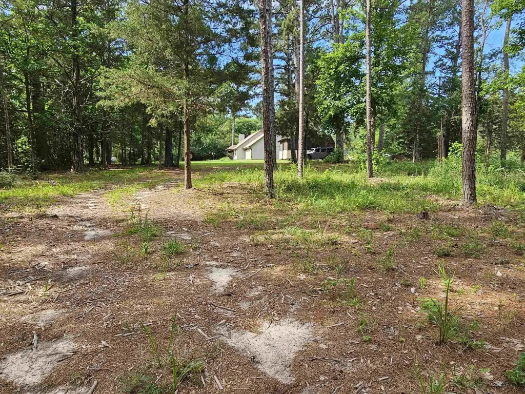 Picture 20