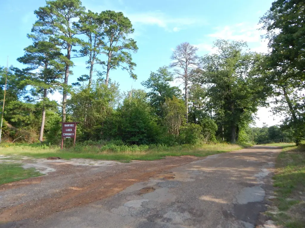 Picture 2