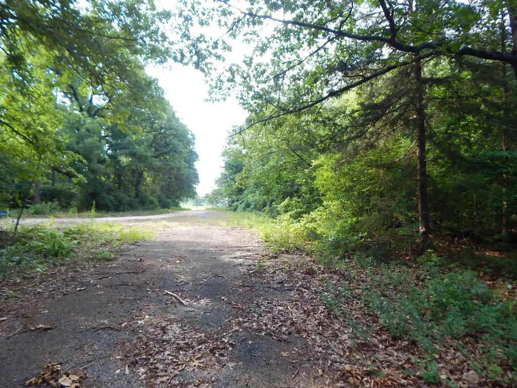 Picture 4