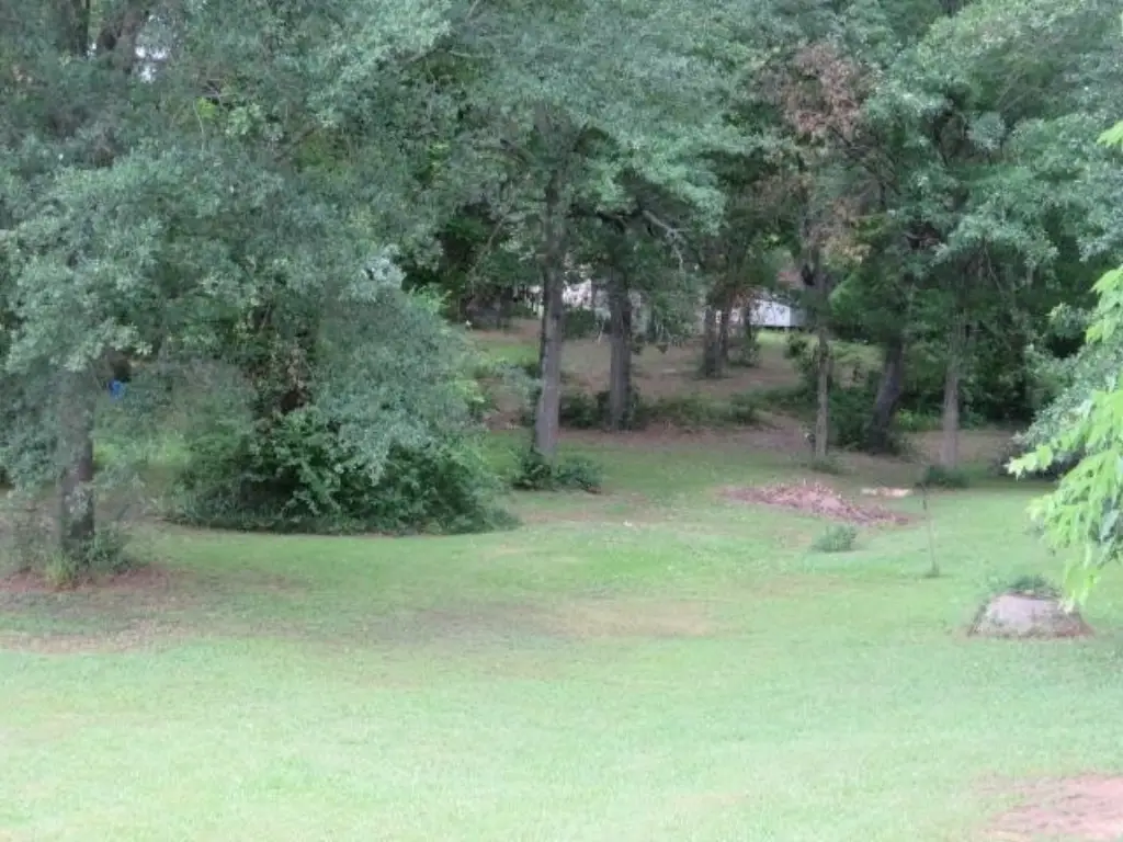 Picture 4