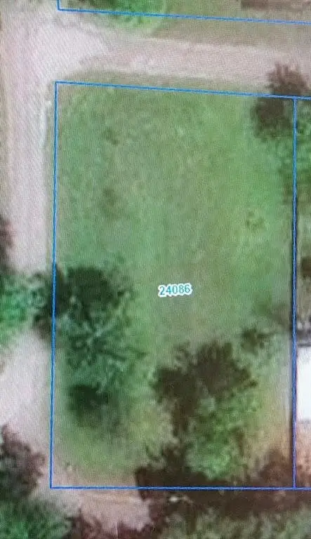 Picture 3