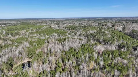 Recreational Land Near Brookhaven, MS