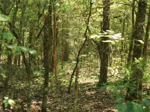Residential Land Near Crown Lake