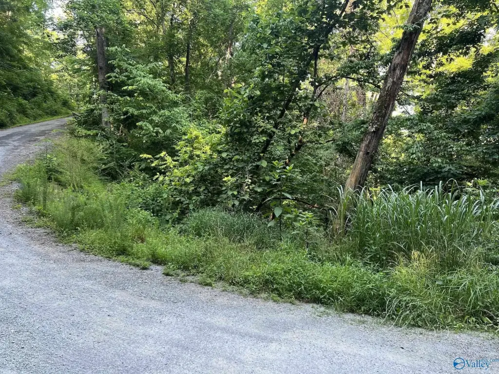 Picture 15