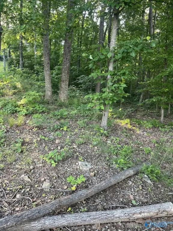 Picture 11