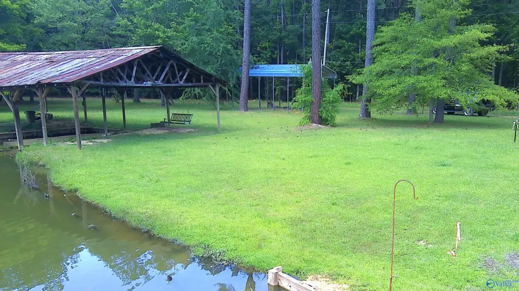 Picture 3