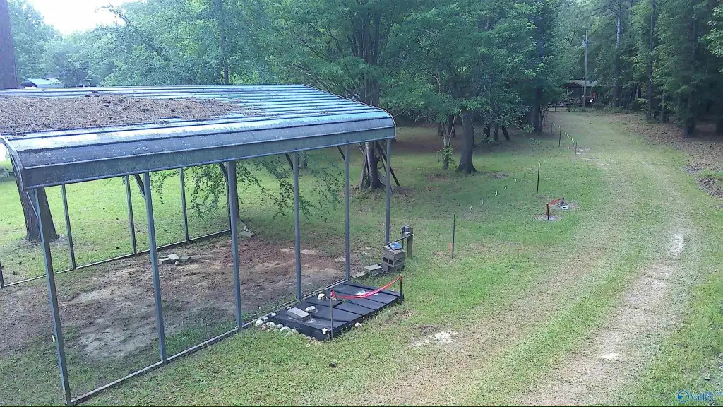 Picture 5