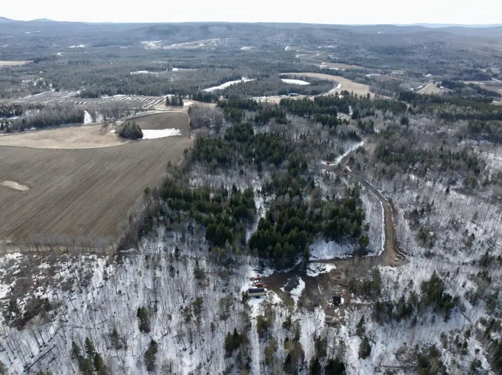 Picture 16