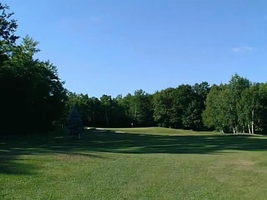 Picture 15