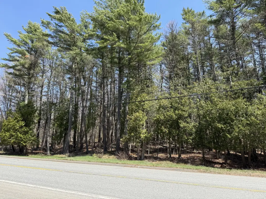 Picture 18